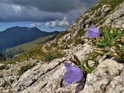 Cima Foppazzi (2097 m) e Cima Grem (2049 m) da Alpe Arera -22ag22- FOTOGALLERY